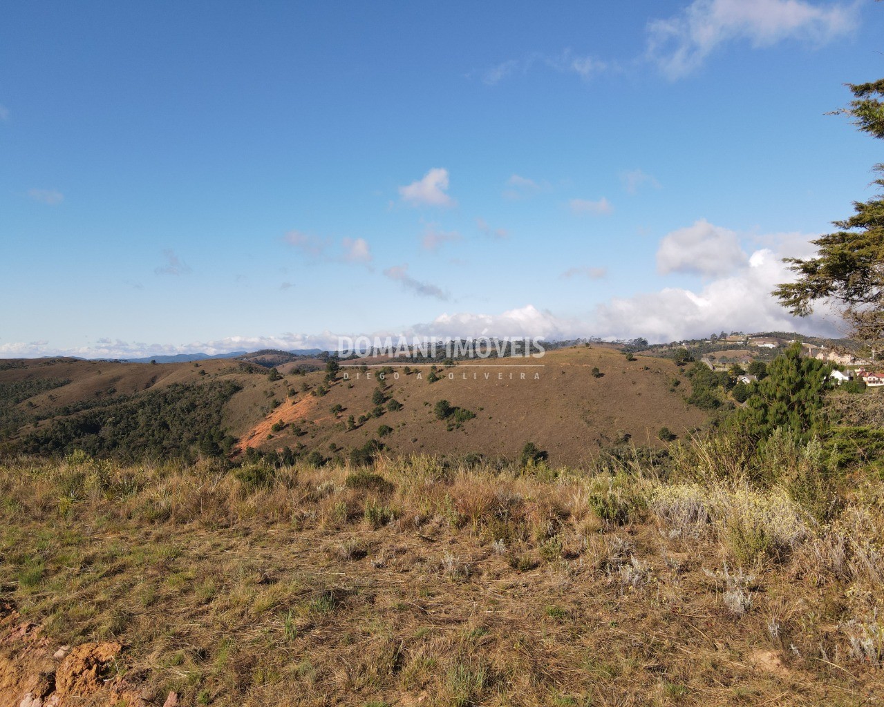 Terreno à venda, 2560m² - Foto 2