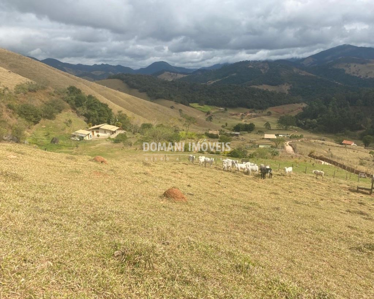 Fazenda à venda com 2 quartos - Foto 3