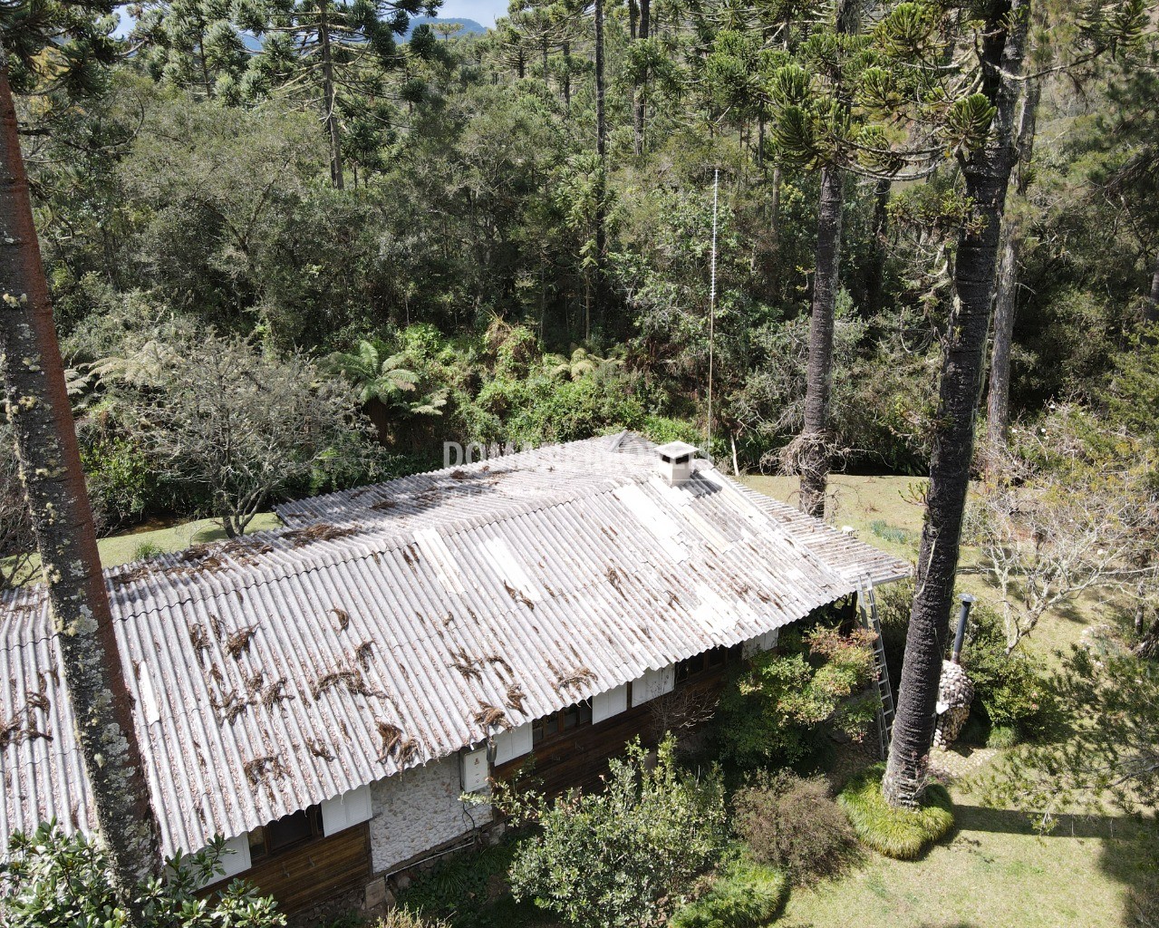 Sítio à venda com 4 quartos - Foto 68