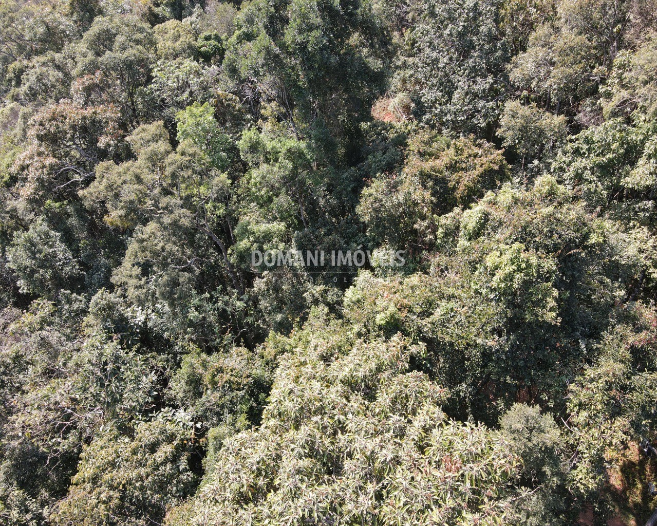 Terreno, 5030 m² - Foto 10