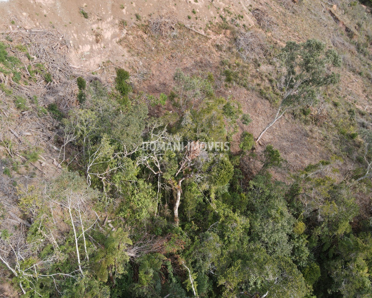 Terreno à venda, 1650m² - Foto 3