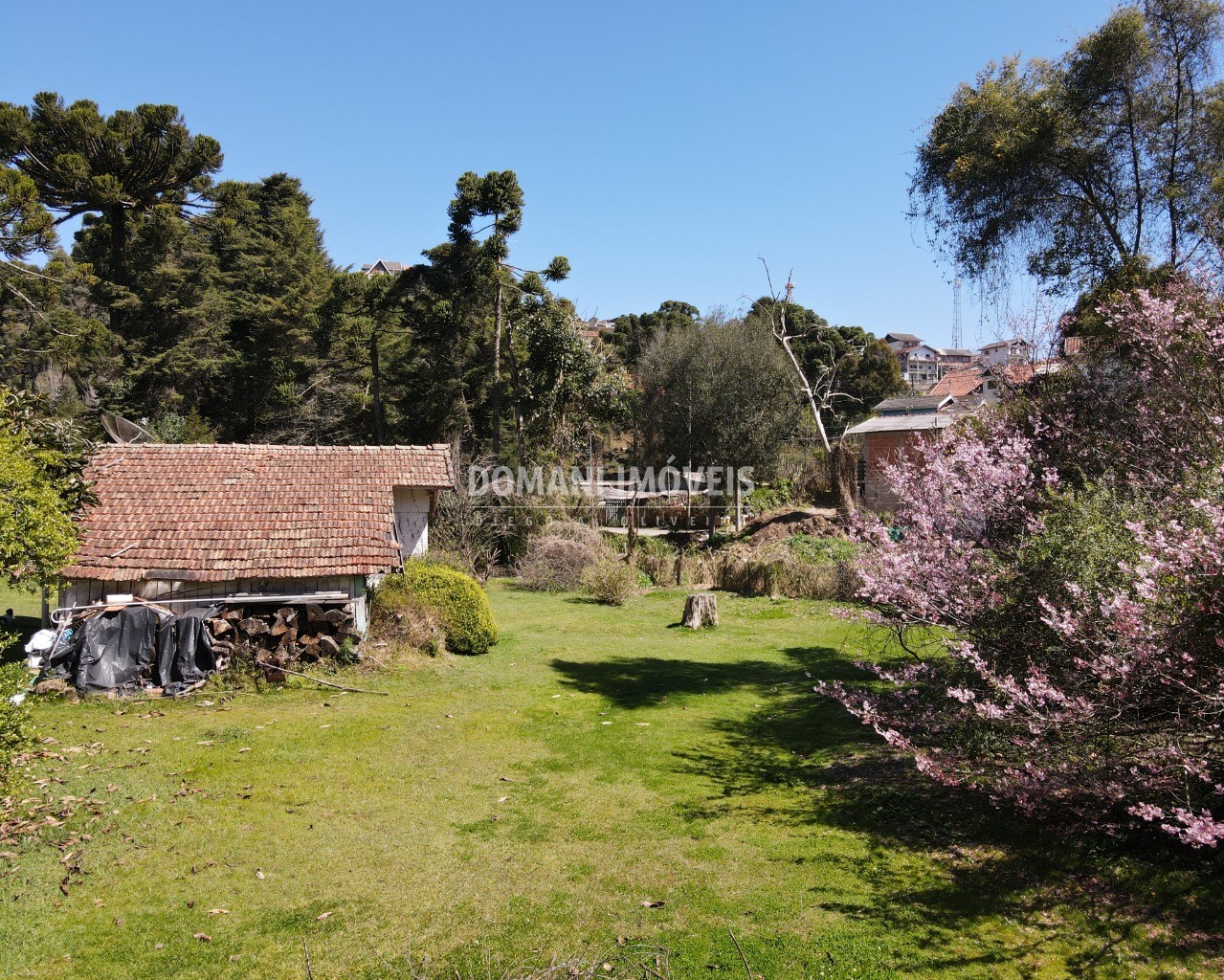 Casa à venda com 3 quartos - Foto 4