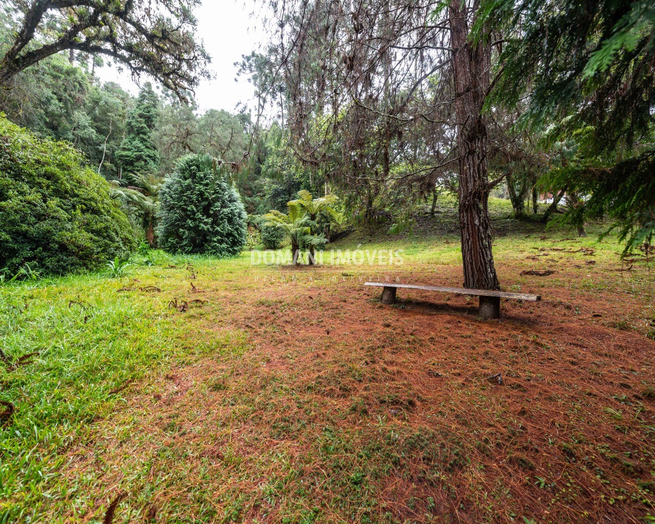 Casa, 4 quartos - Foto 6