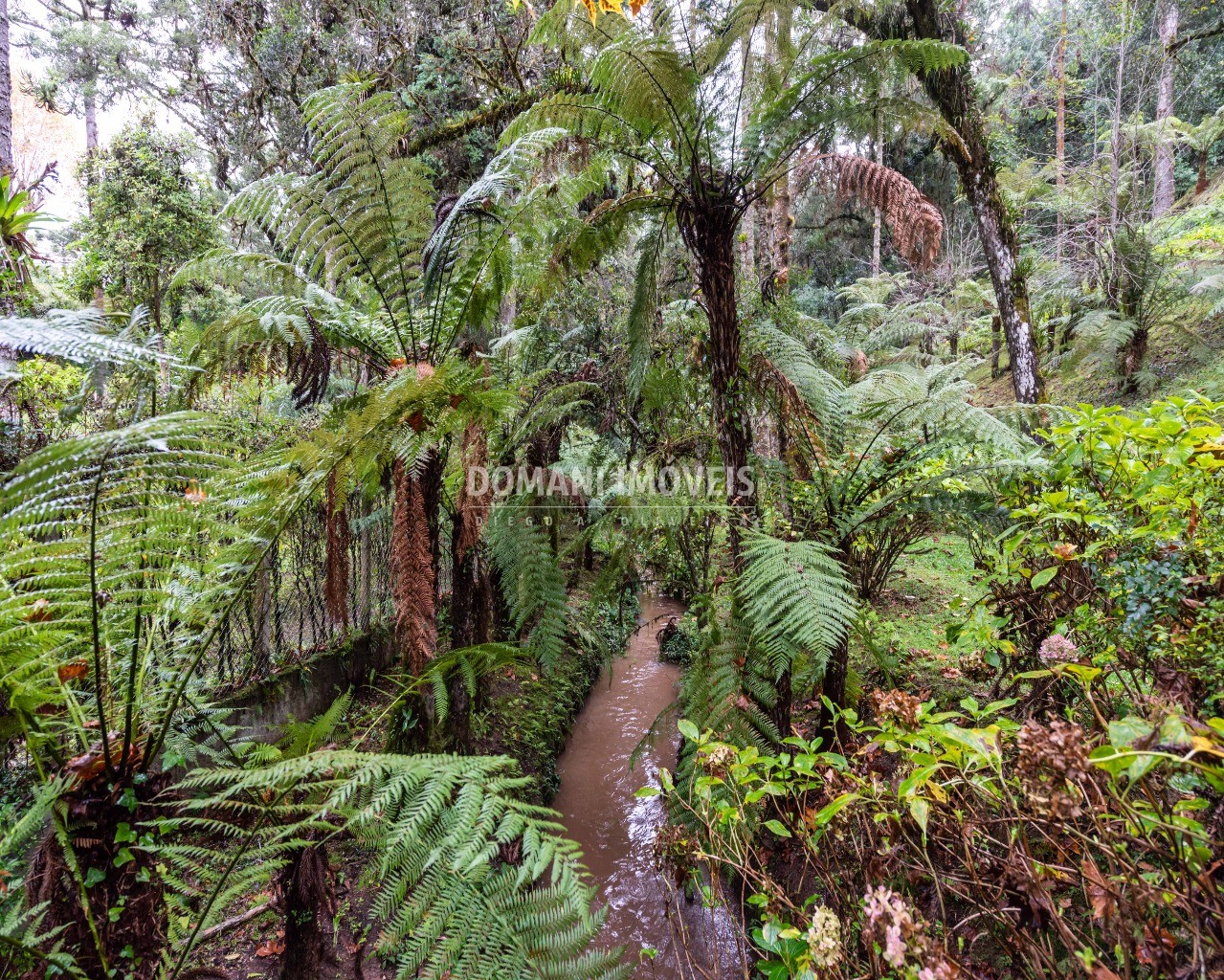 Casa, 4 quartos - Foto 62