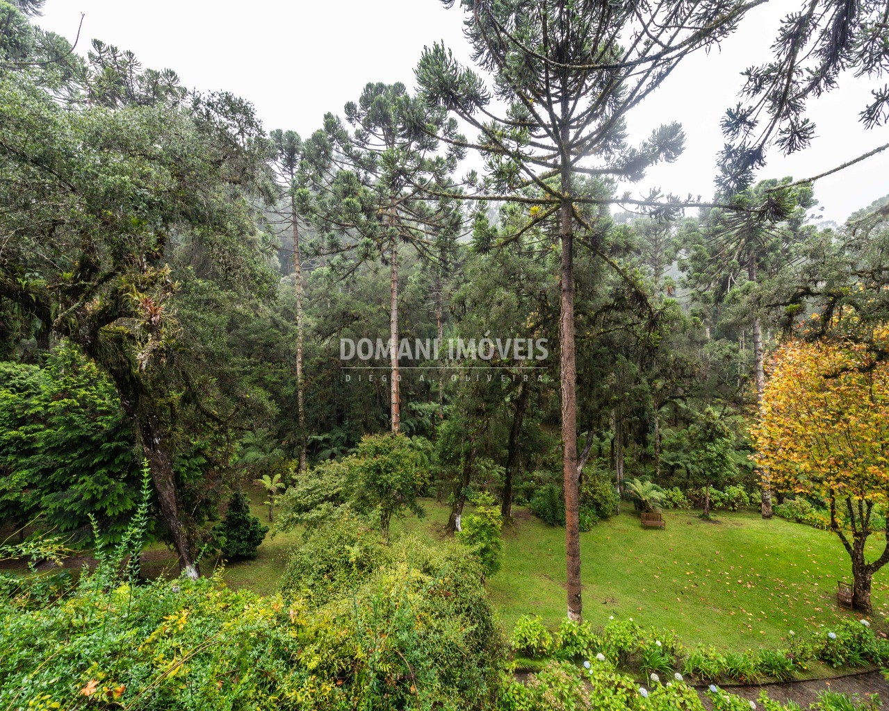 Casa, 4 quartos - Foto 5