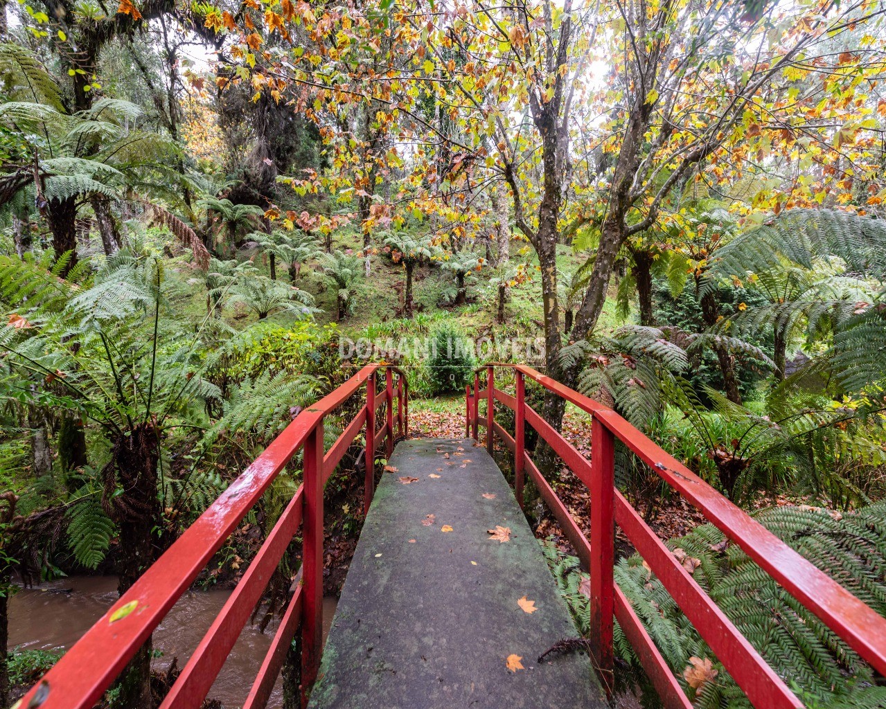 Casa, 4 quartos - Foto 63