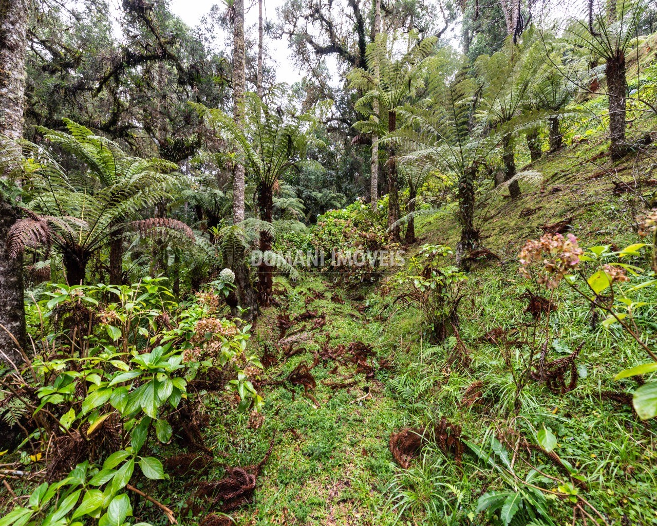 Casa, 4 quartos - Foto 61