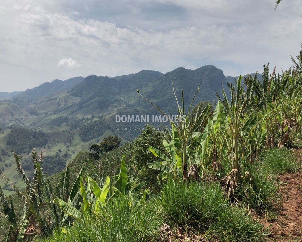 Terreno à venda, 34000m² - Foto 6