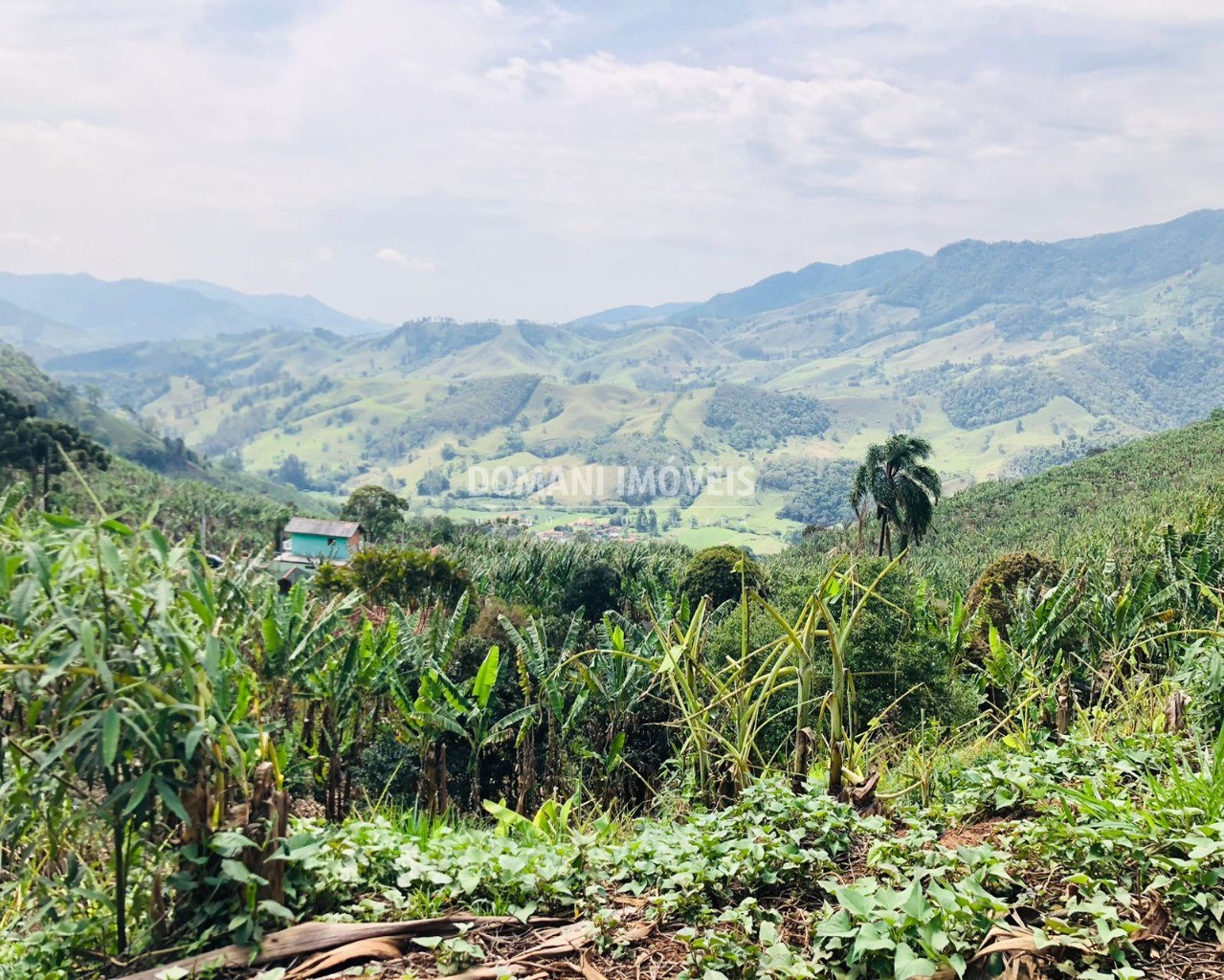 Terreno à venda, 34000m² - Foto 3