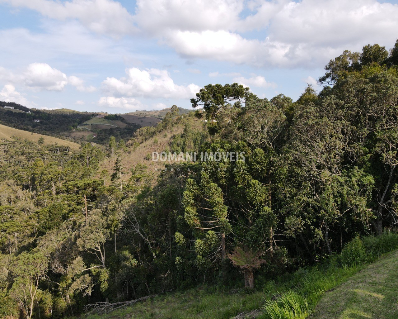 Terreno à venda, 1250m² - Foto 14