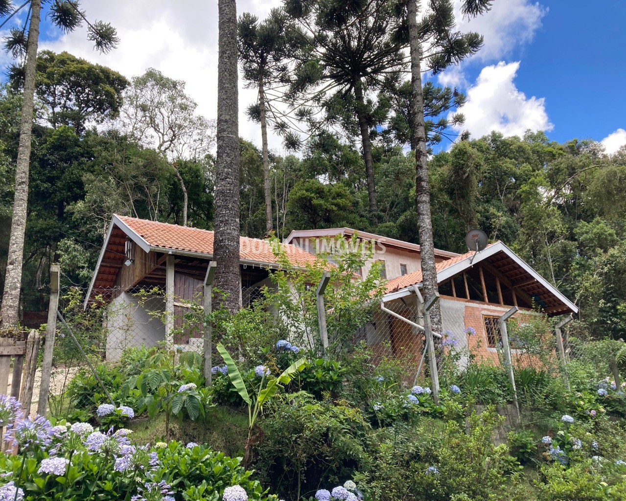 Casa à venda e aluguel com 3 quartos - Foto 1