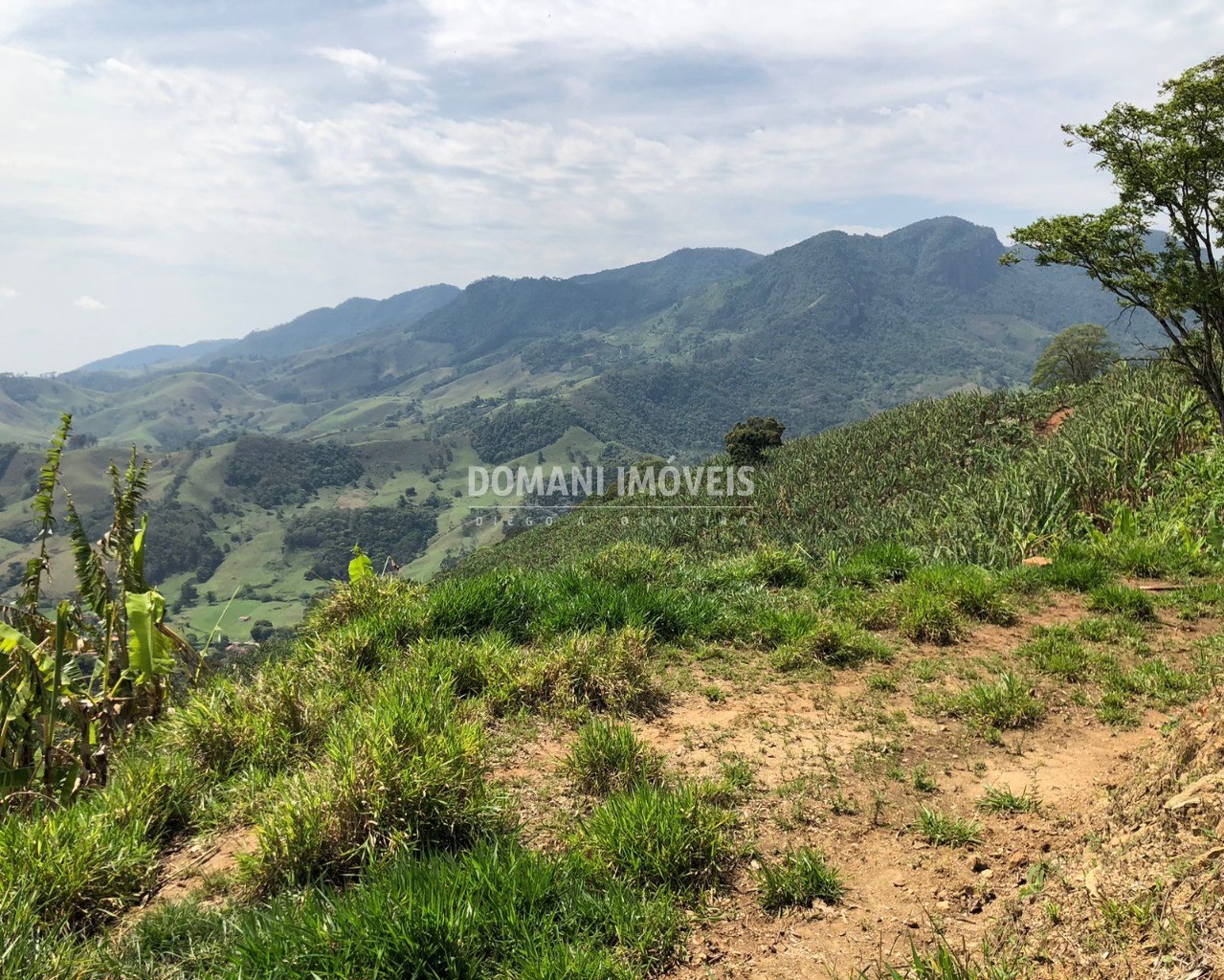 Terreno à venda, 34000m² - Foto 1