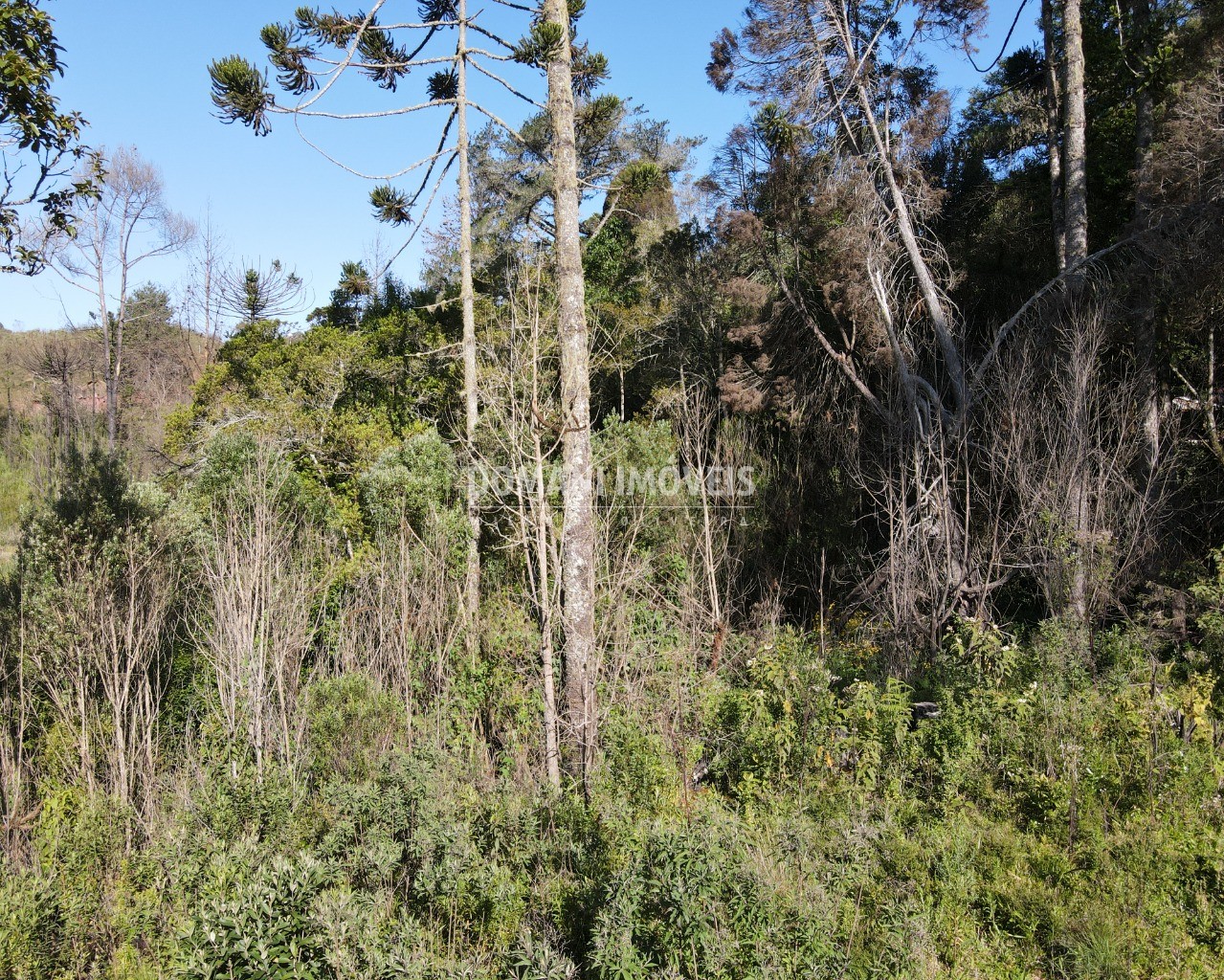 Terreno à venda, 1630m² - Foto 13