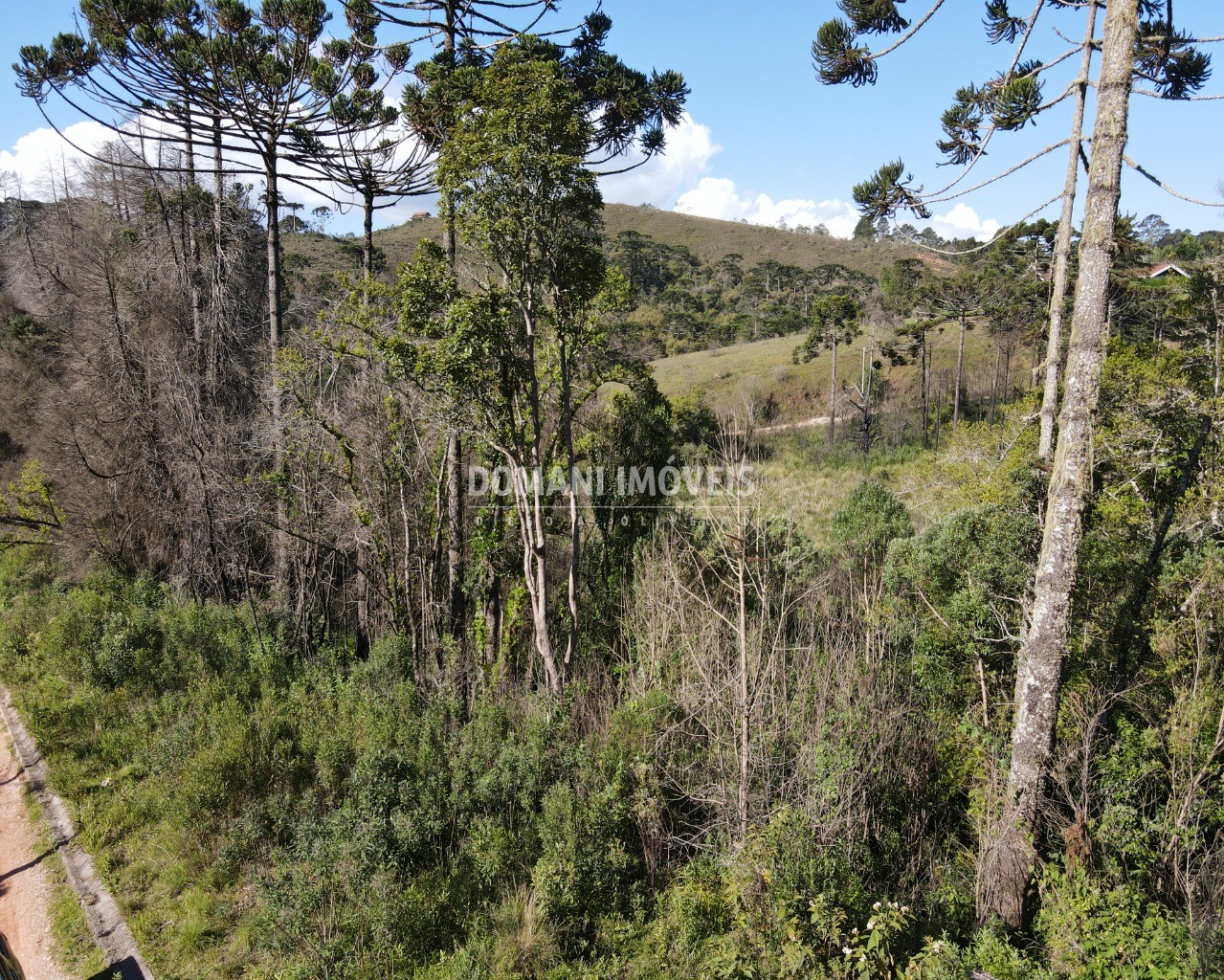 Terreno à venda, 1630m² - Foto 7