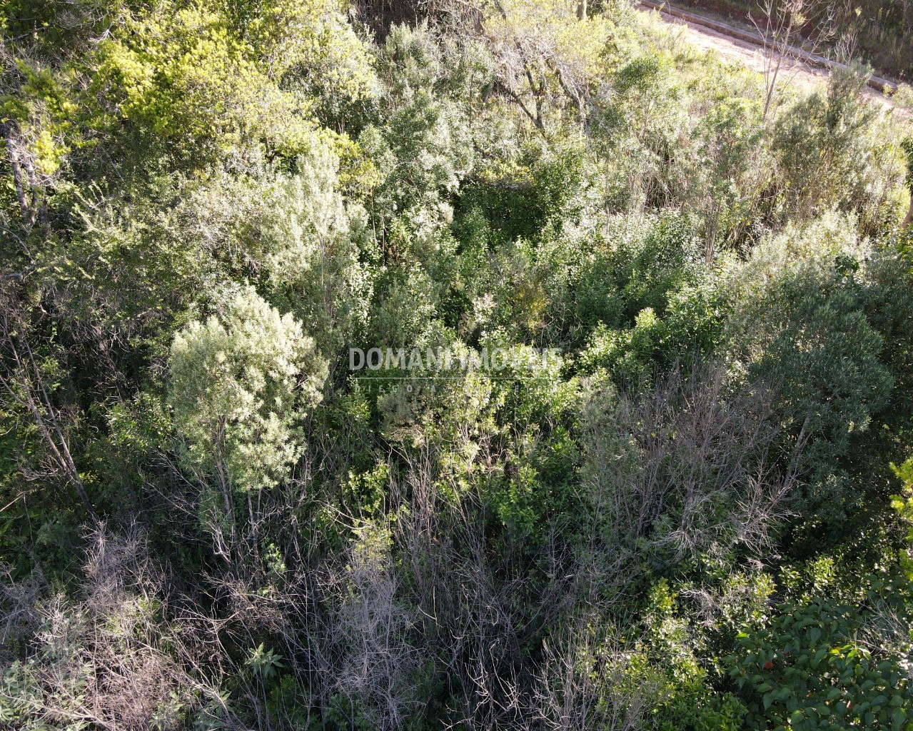 Terreno à venda, 1630m² - Foto 11