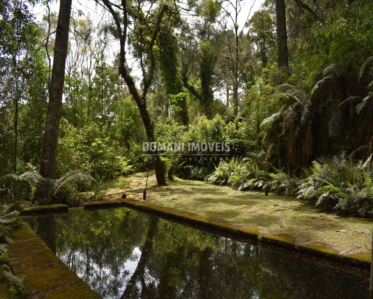 Casa à venda com 6 quartos - Foto 4