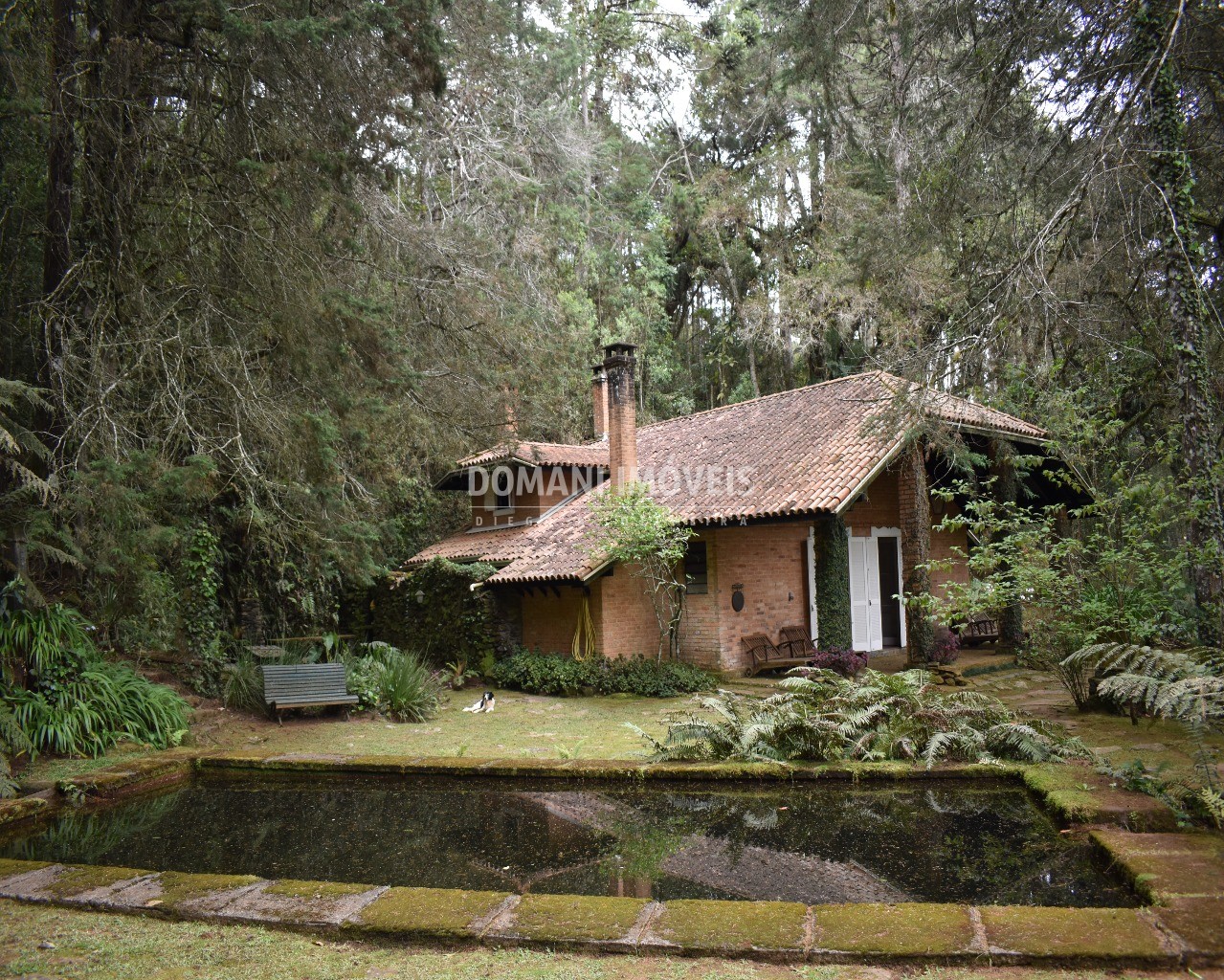 Casa à venda com 6 quartos - Foto 35