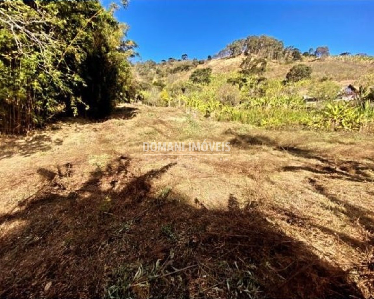 Terreno à venda, 2100m² - Foto 4