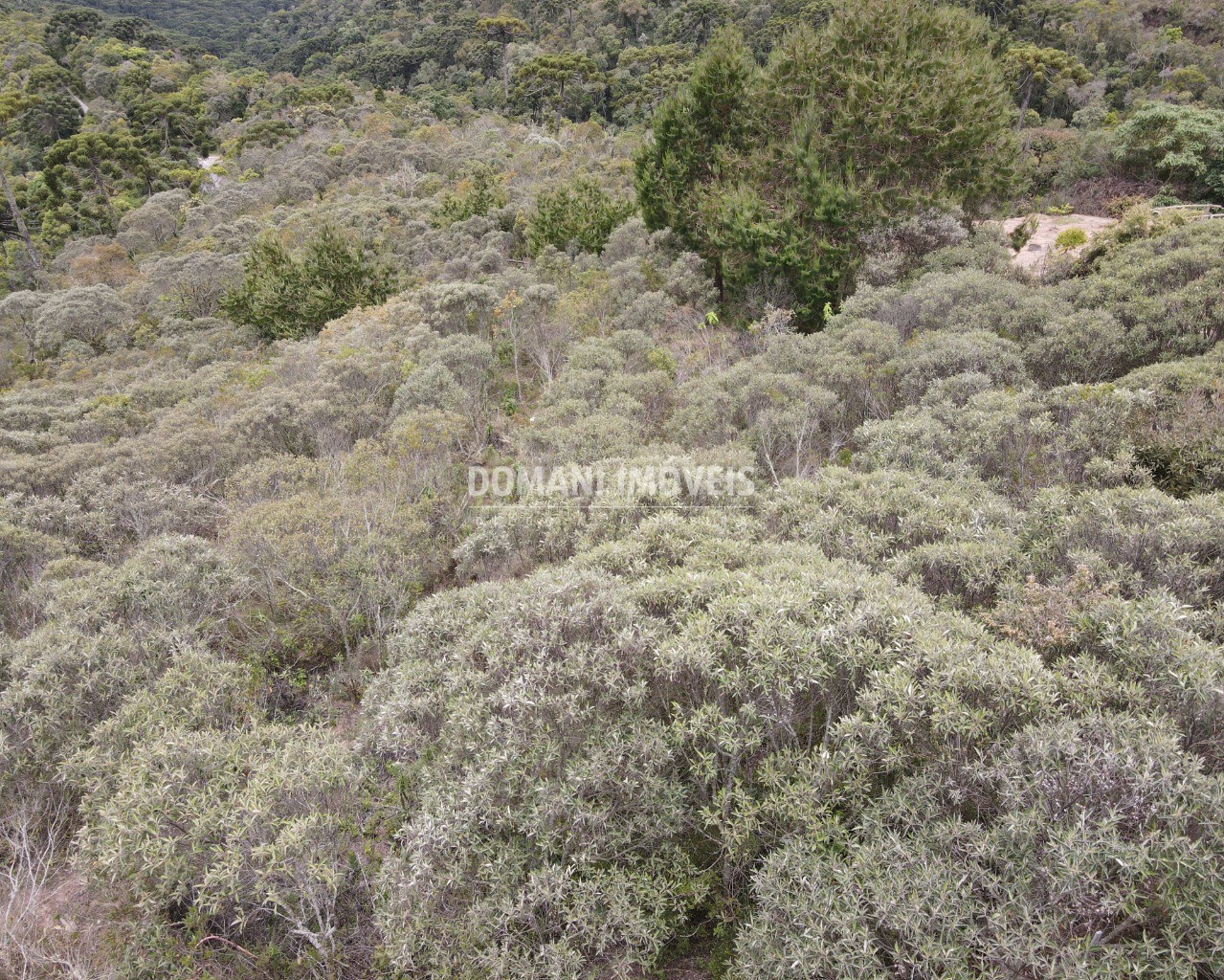 Terreno à venda, 1400m² - Foto 3