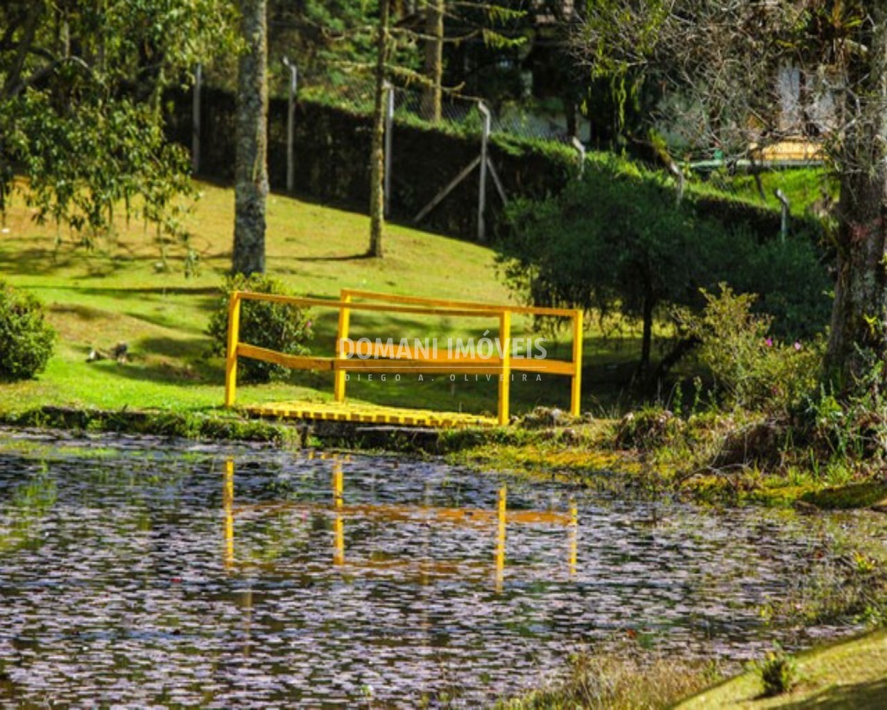 Terreno à venda, 2400m² - Foto 16