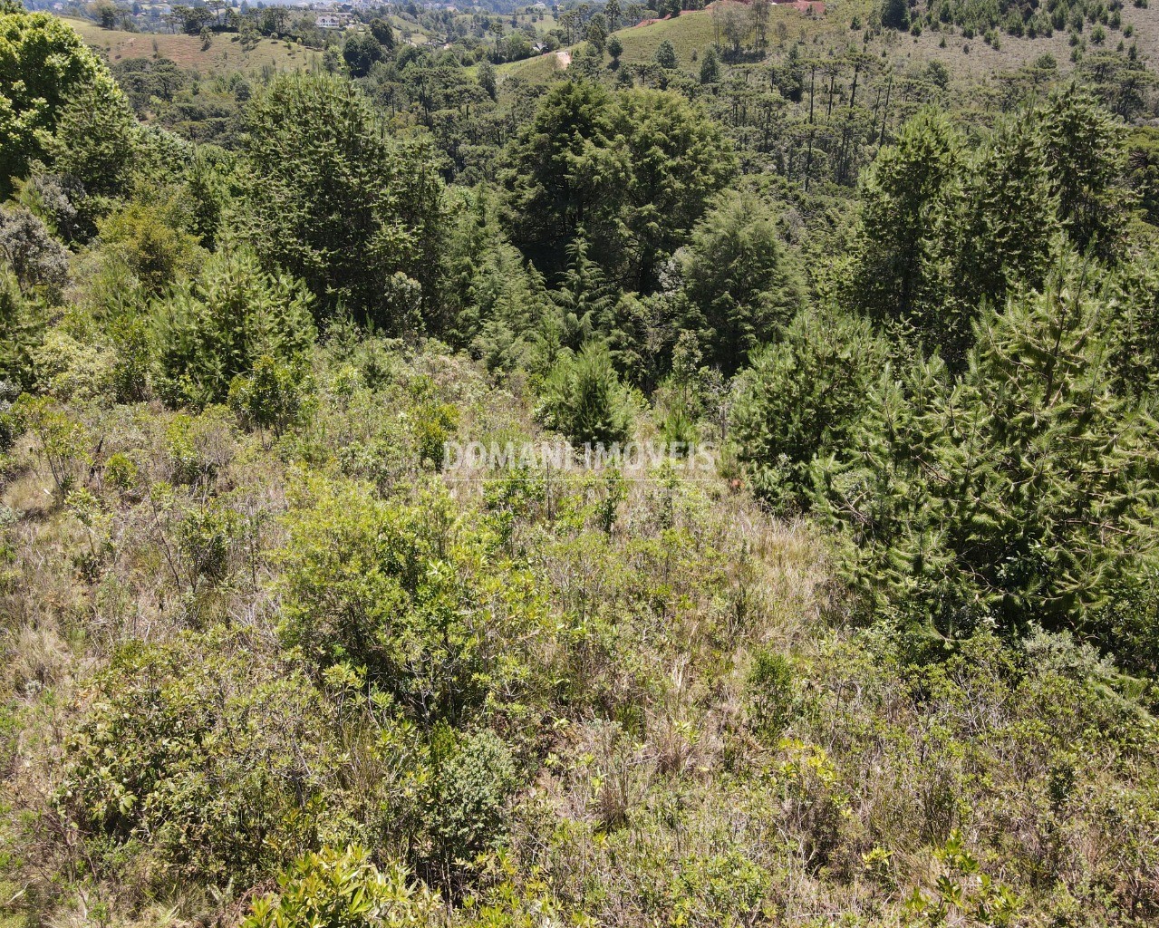 Terreno à venda, 3220m² - Foto 6