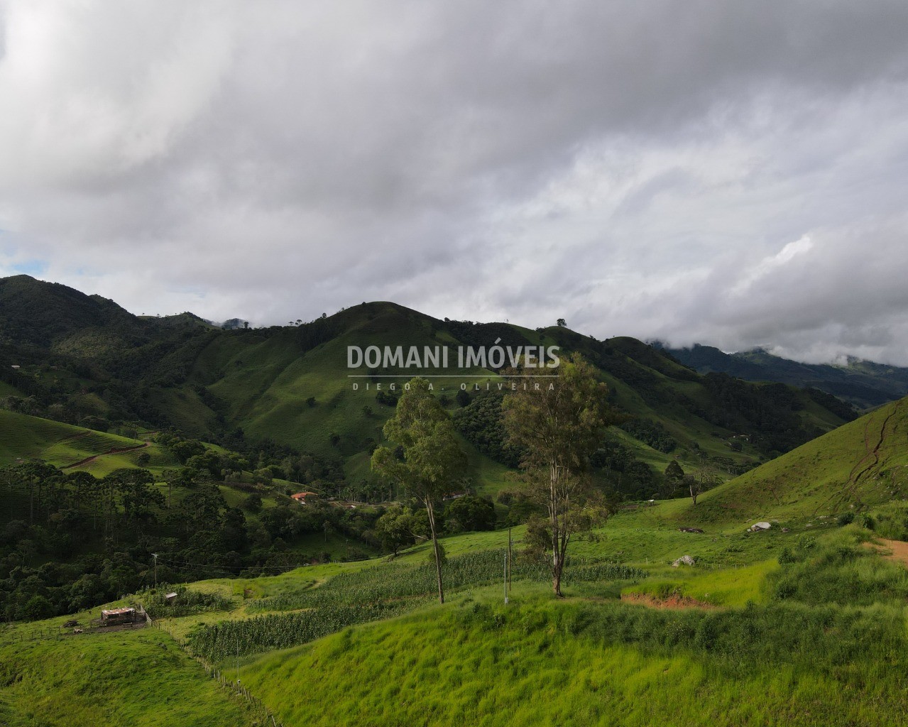 Terreno à venda, 13050m² - Foto 7