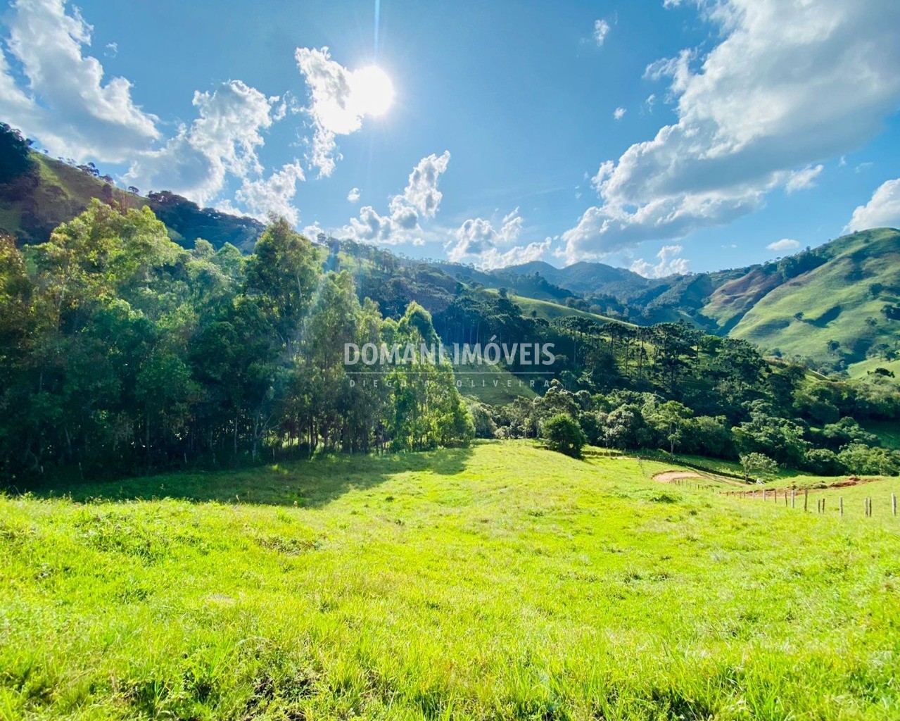 Terreno à venda, 13050m² - Foto 3