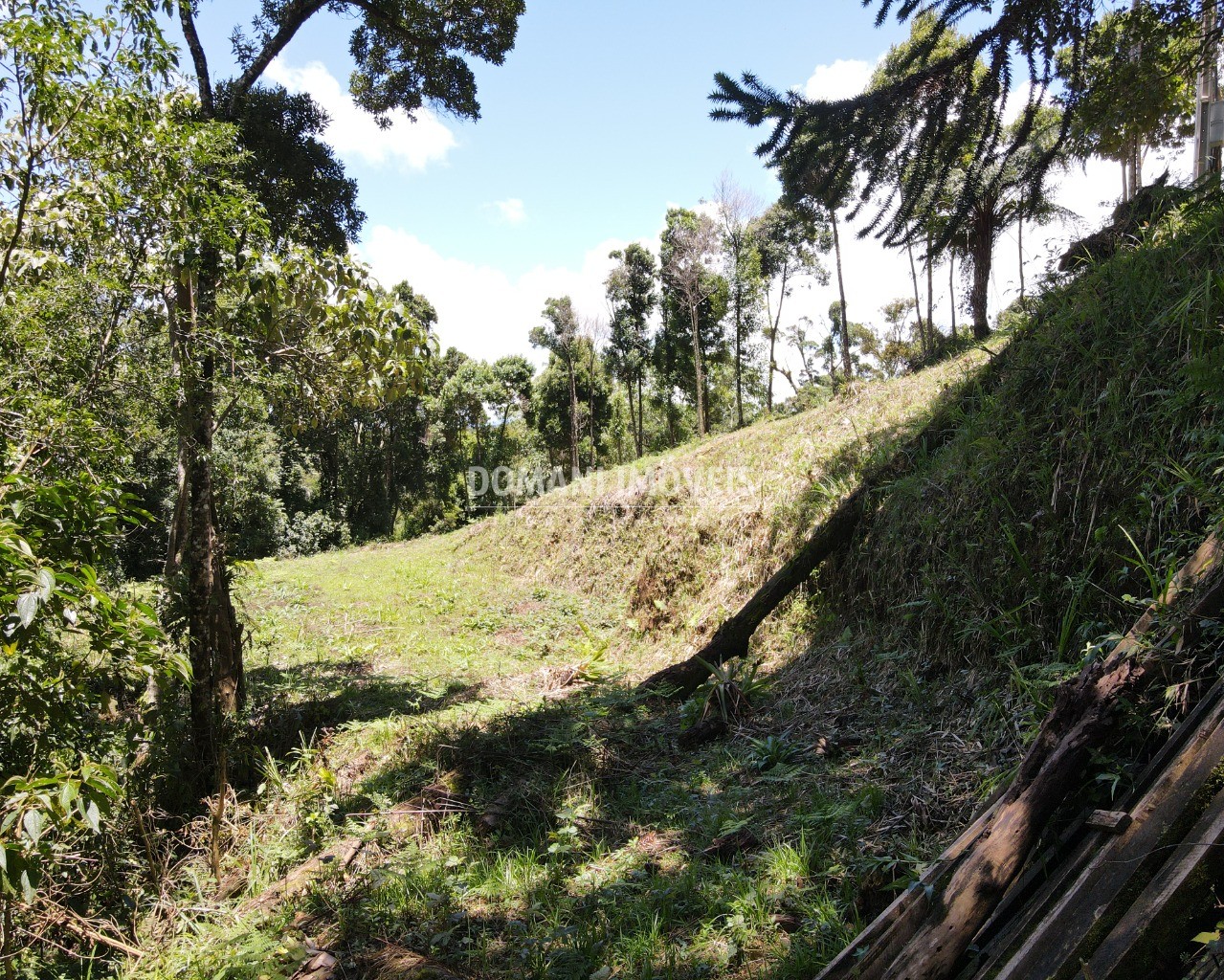 Terreno à venda, 1080m² - Foto 15