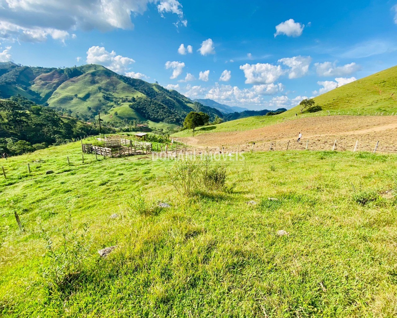 Terreno à venda, 13050m² - Foto 2