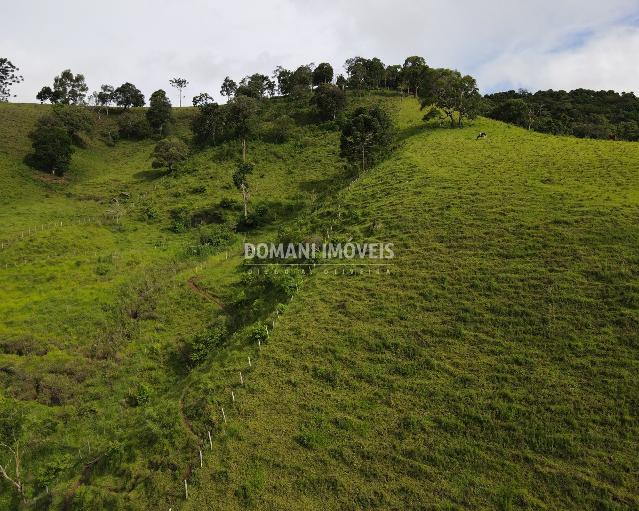 Terreno à venda, 13050m² - Foto 4