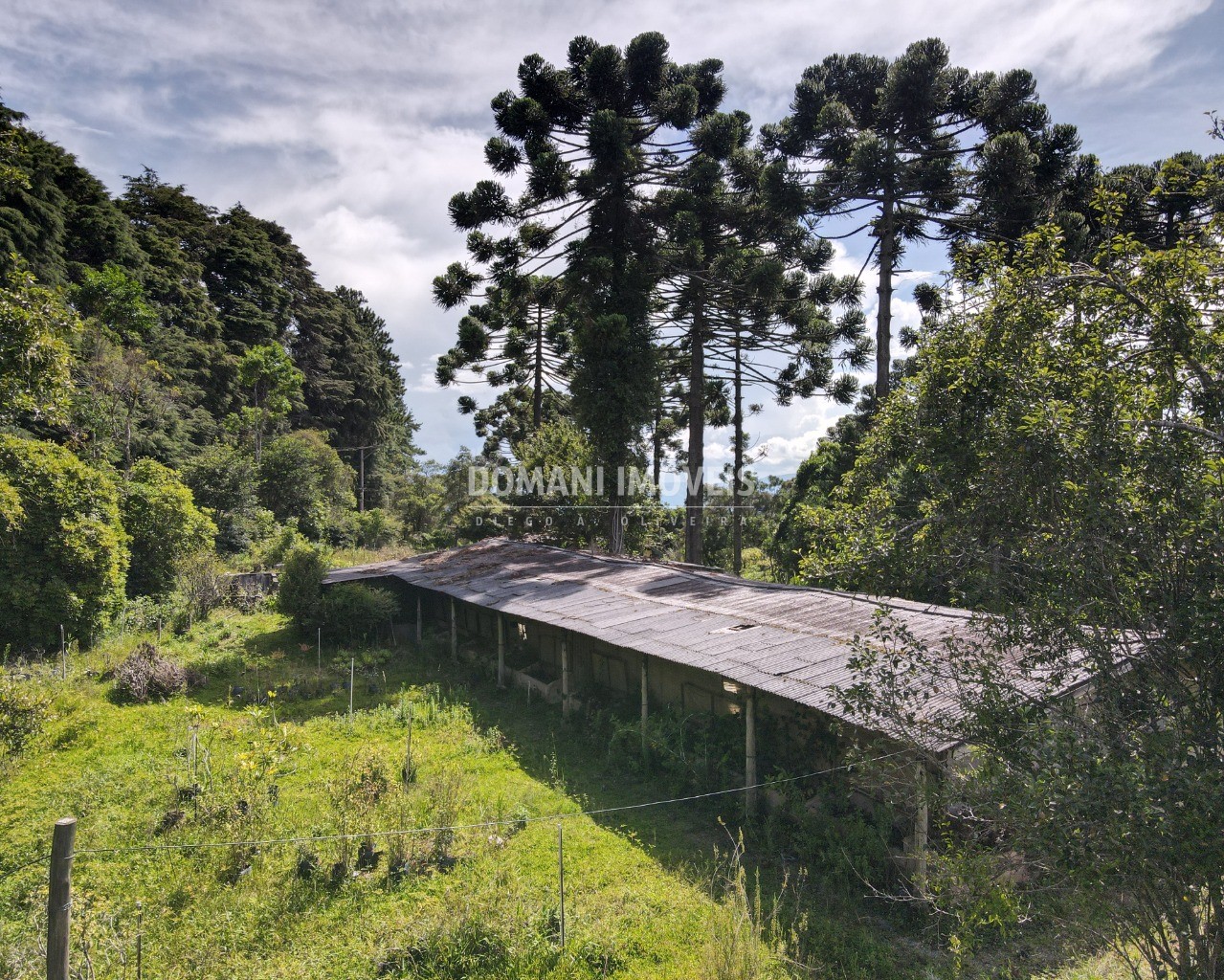 Terreno à venda - Foto 3