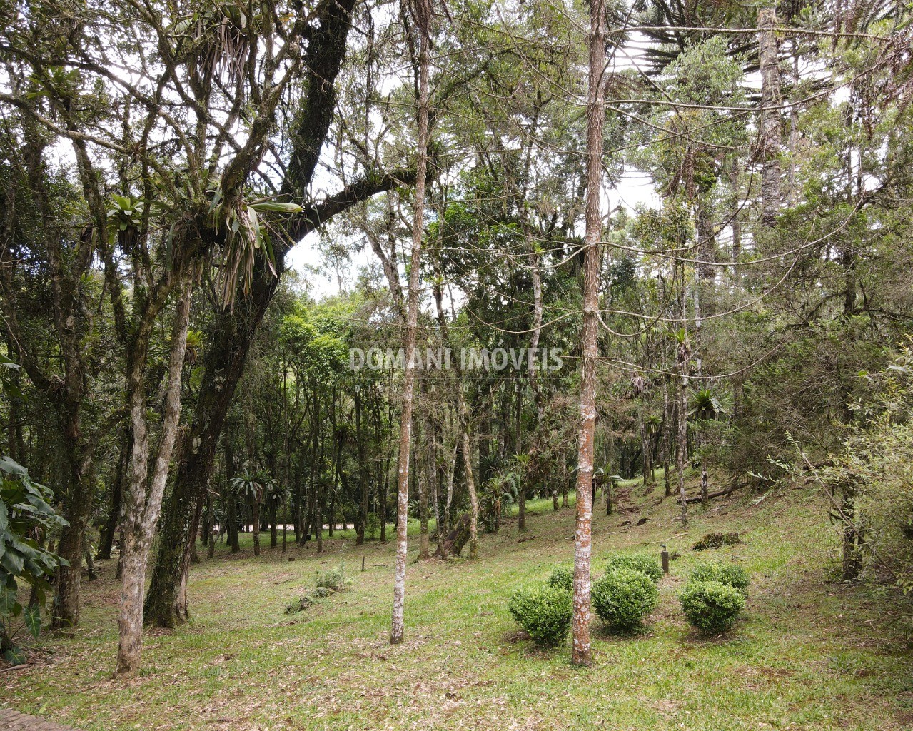 Casa à venda e temporada com 4 quartos - Foto 68