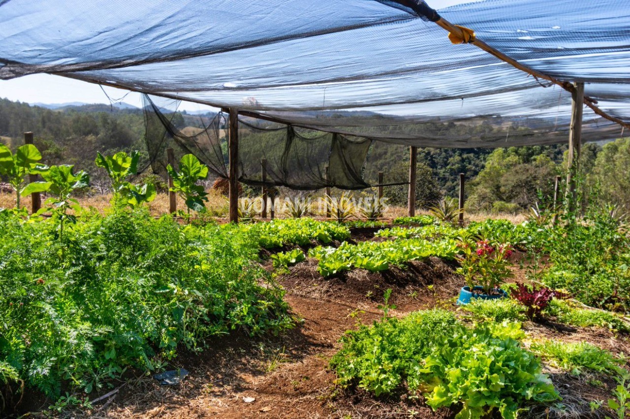 Sítio à venda com 7 quartos - Foto 60