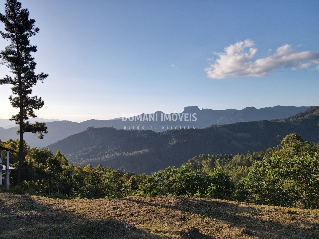 Terreno à venda, 2990m² - Foto 2