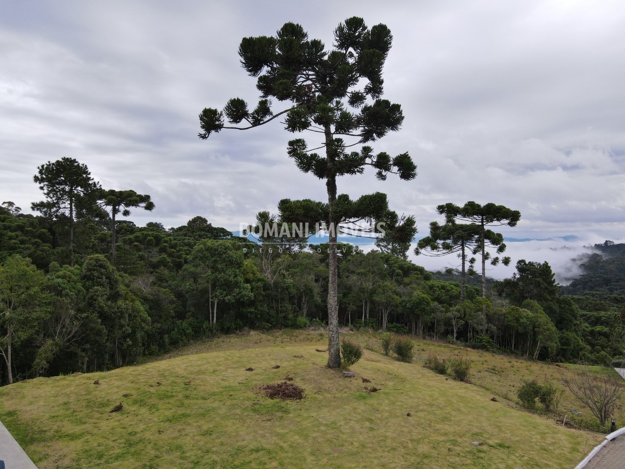 Terreno à venda, 640m² - Foto 10