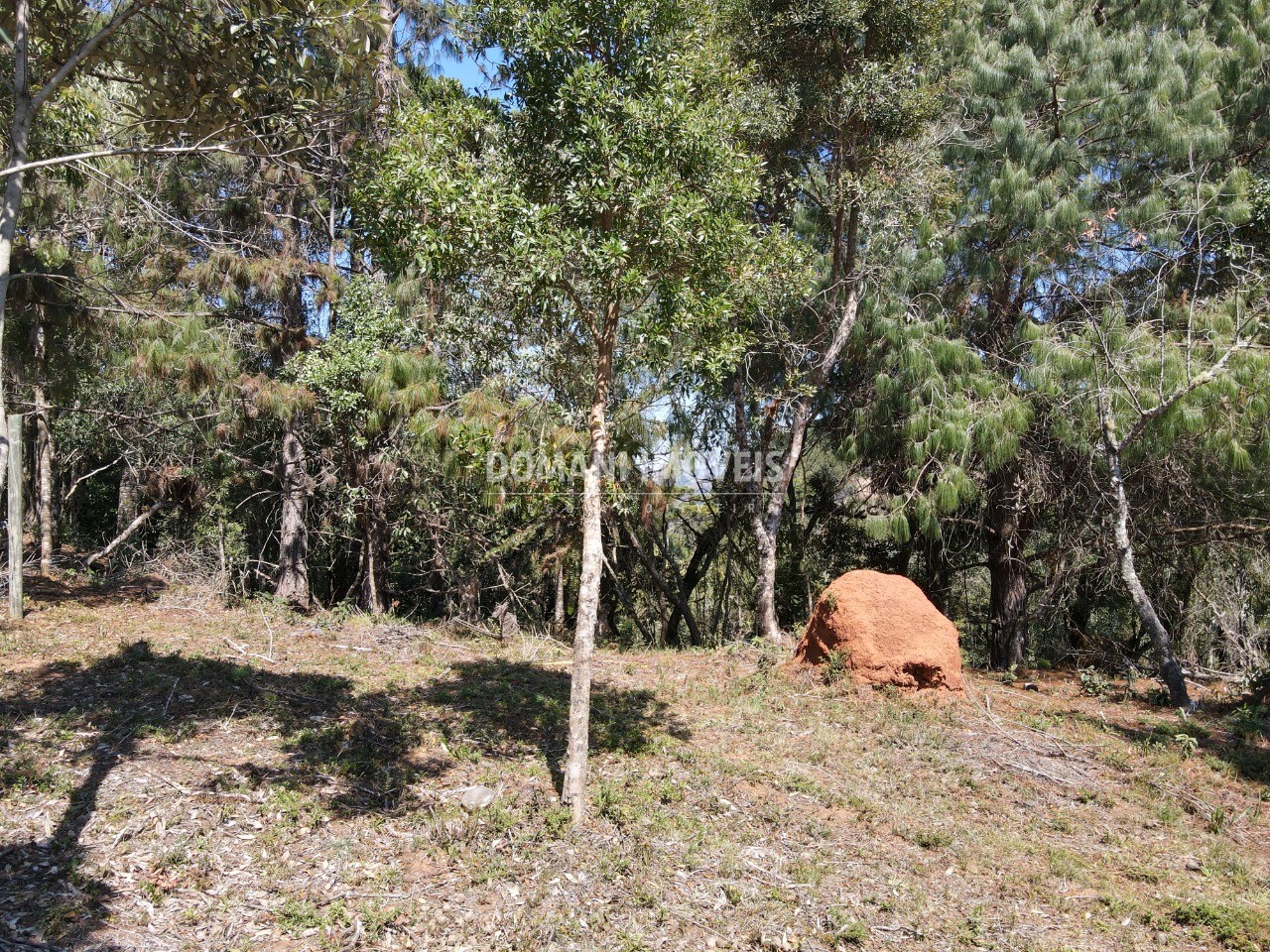 Terreno à venda, 1680m² - Foto 19