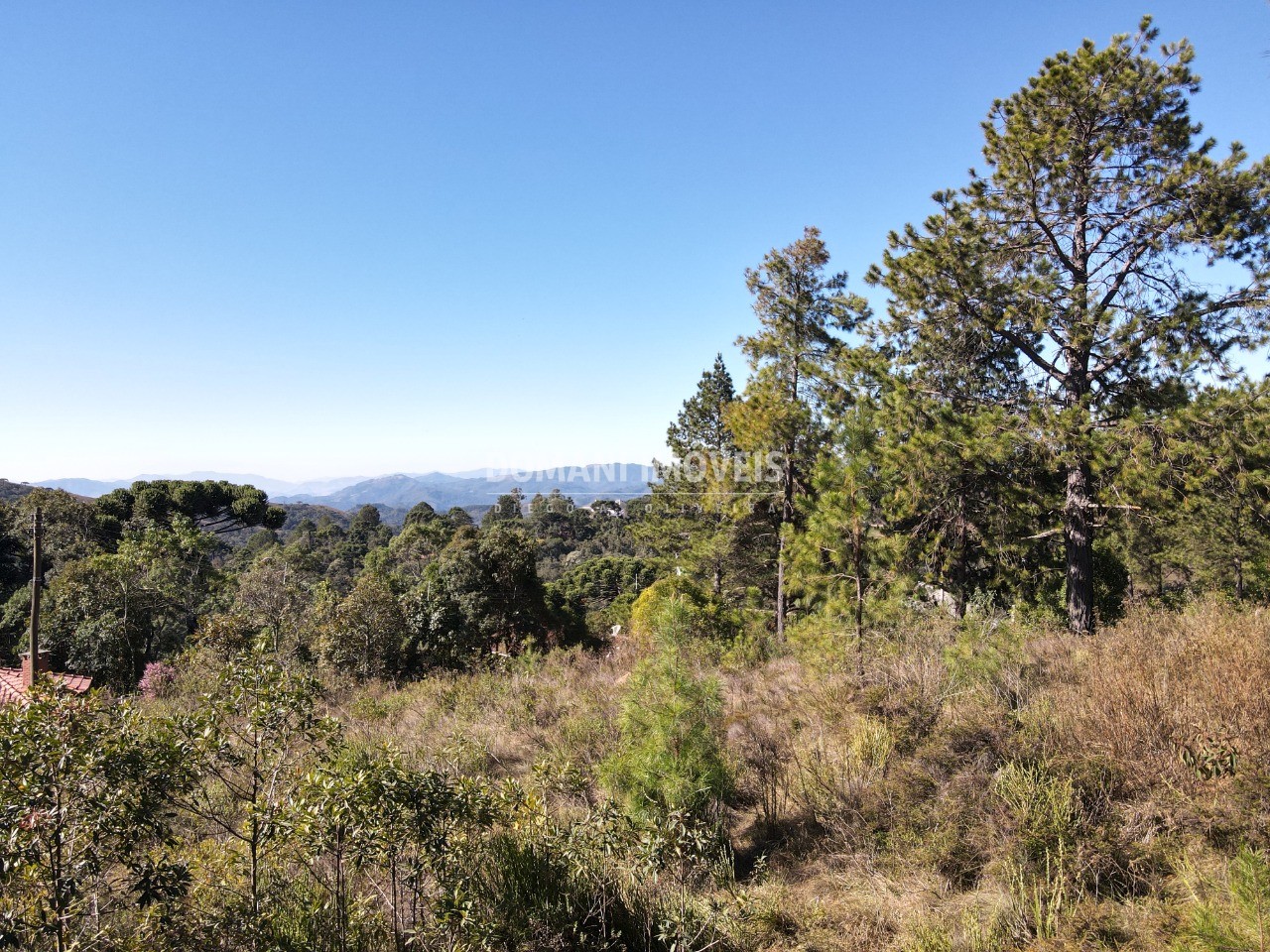 Terreno à venda, 1030m² - Foto 4