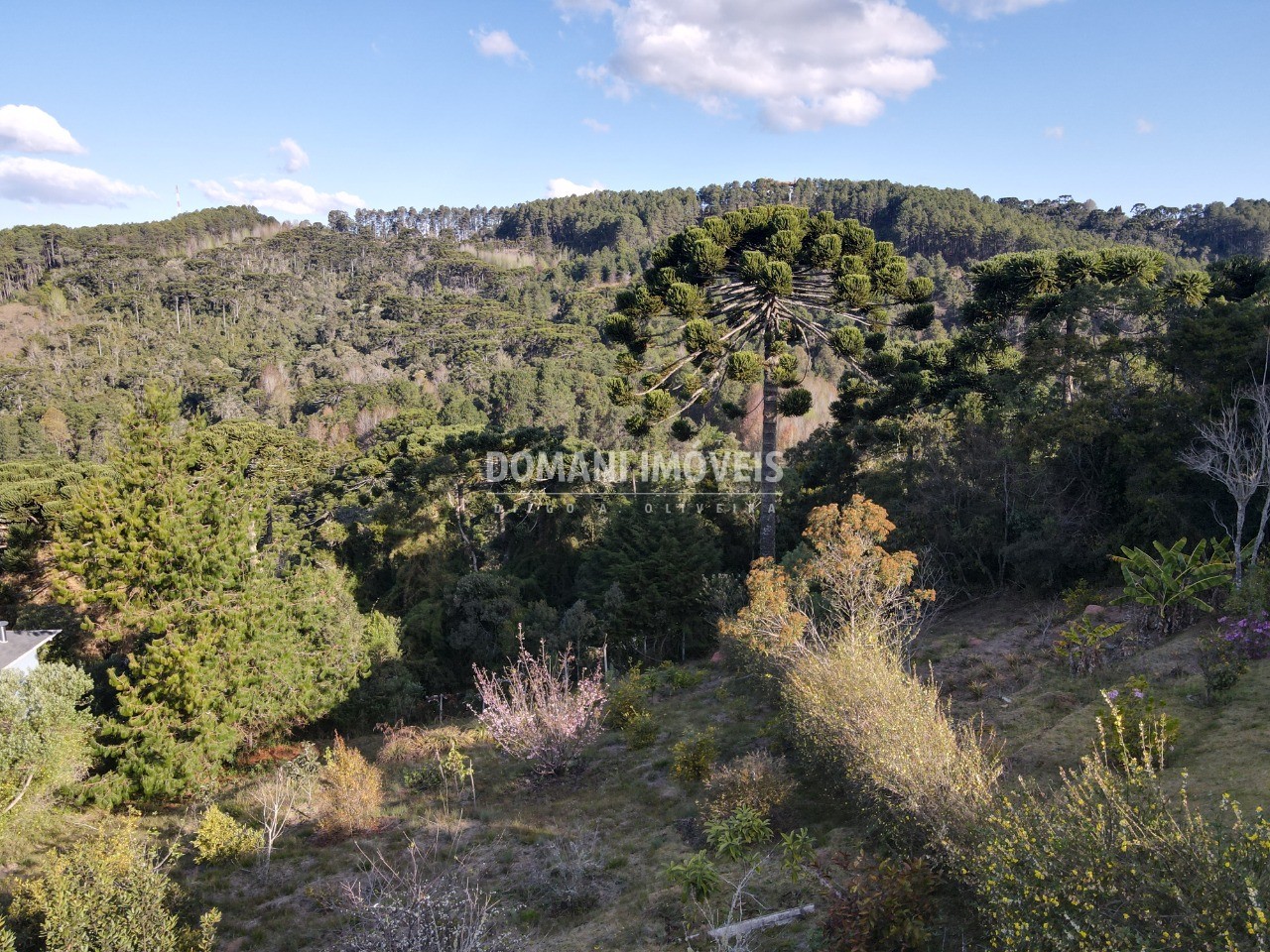 Terreno à venda, 1210m² - Foto 2