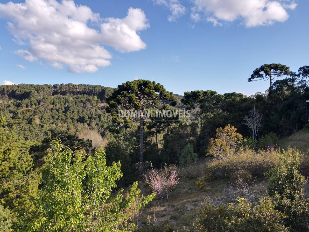 Terreno à venda, 1210m² - Foto 5