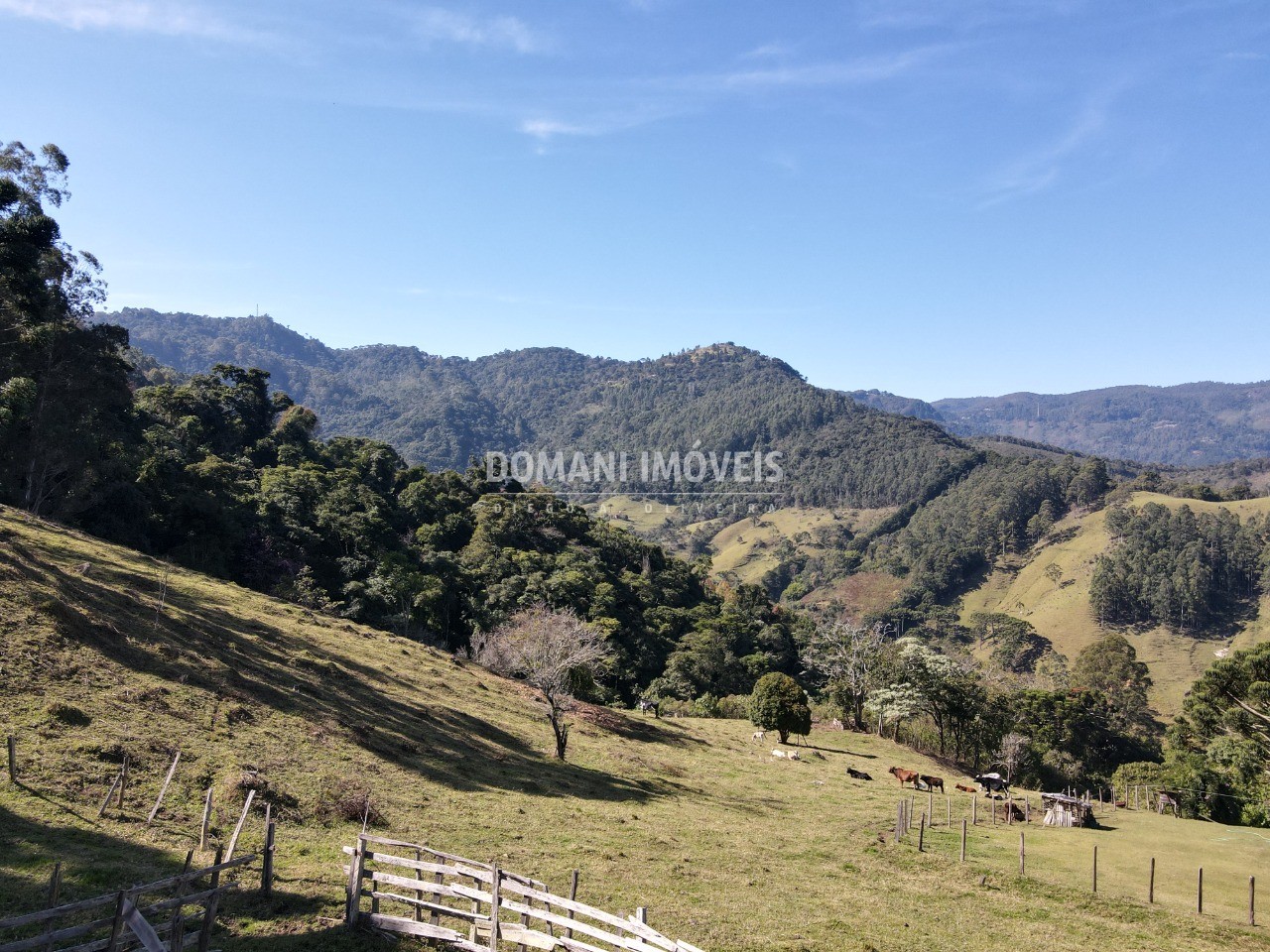 Fazenda à venda com 8 quartos - Foto 29