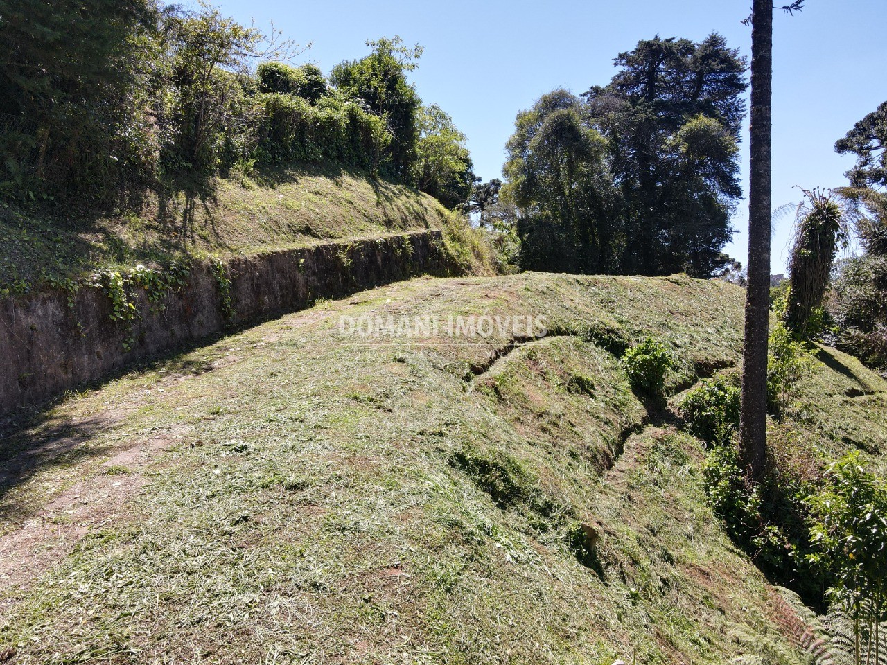 Terreno à venda, 1750m² - Foto 2