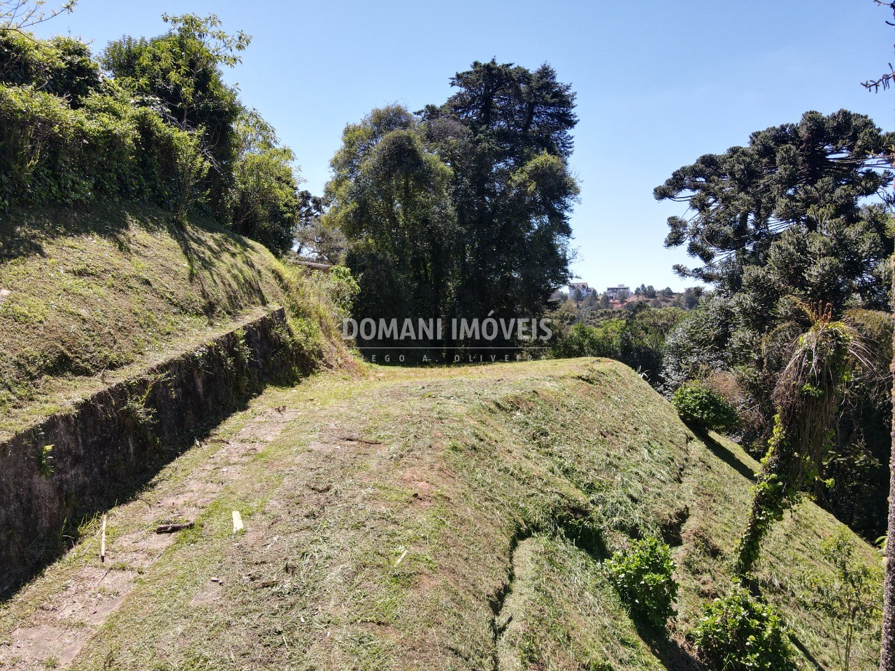 Terreno à venda, 1750m² - Foto 1