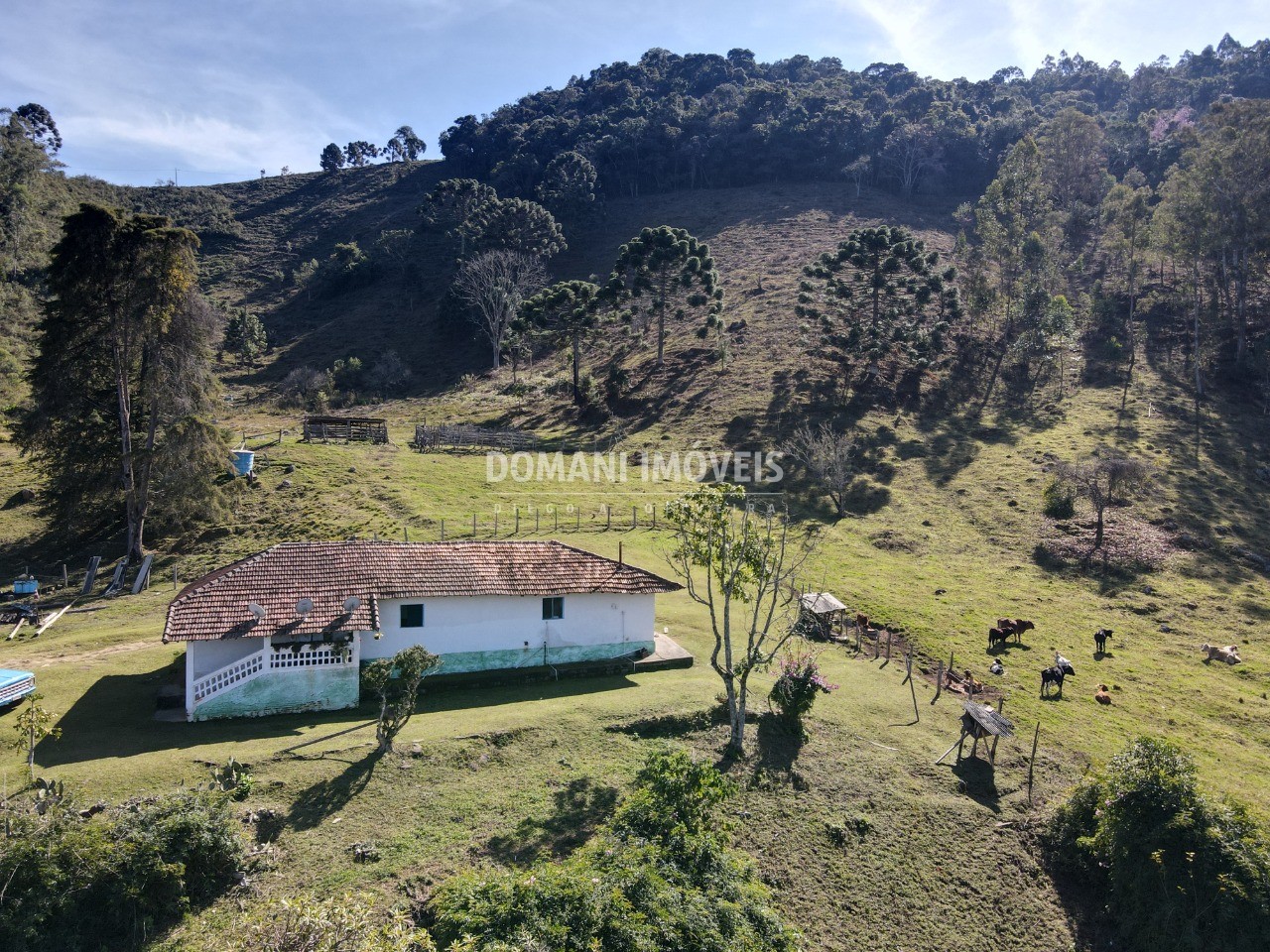 Fazenda à venda com 8 quartos - Foto 21