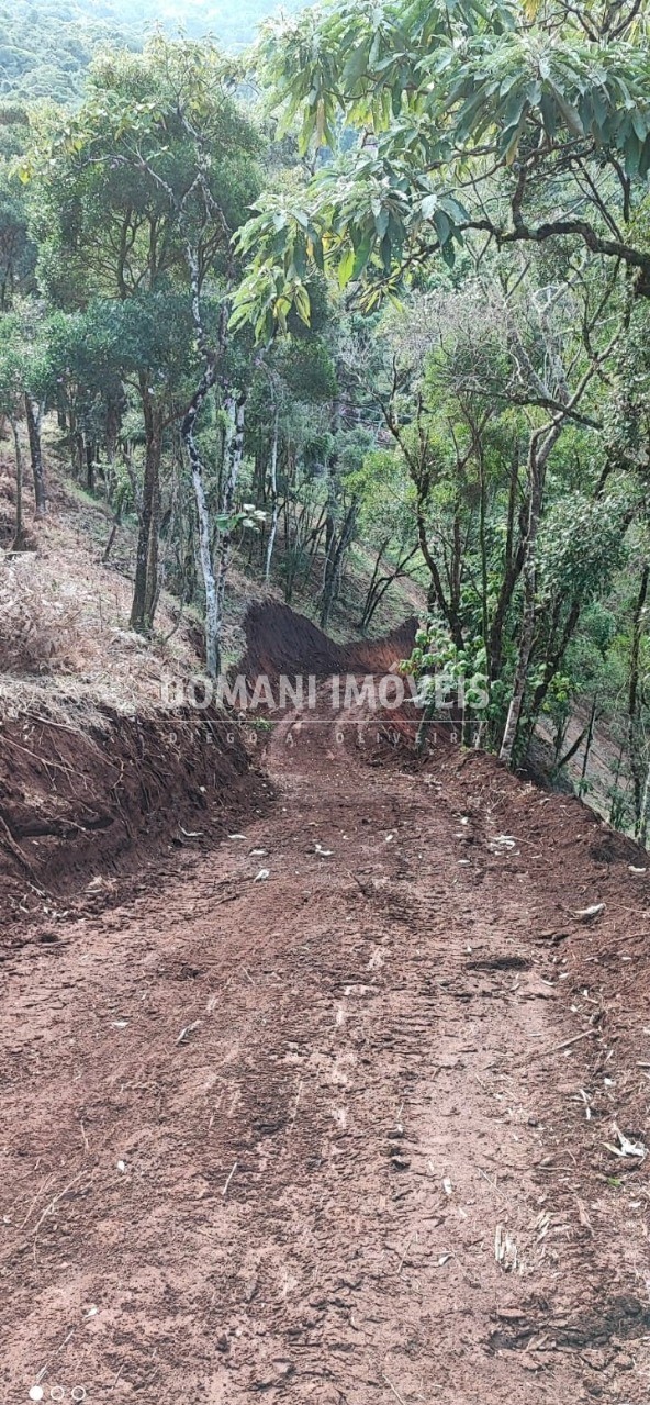 Terreno à venda - Foto 2