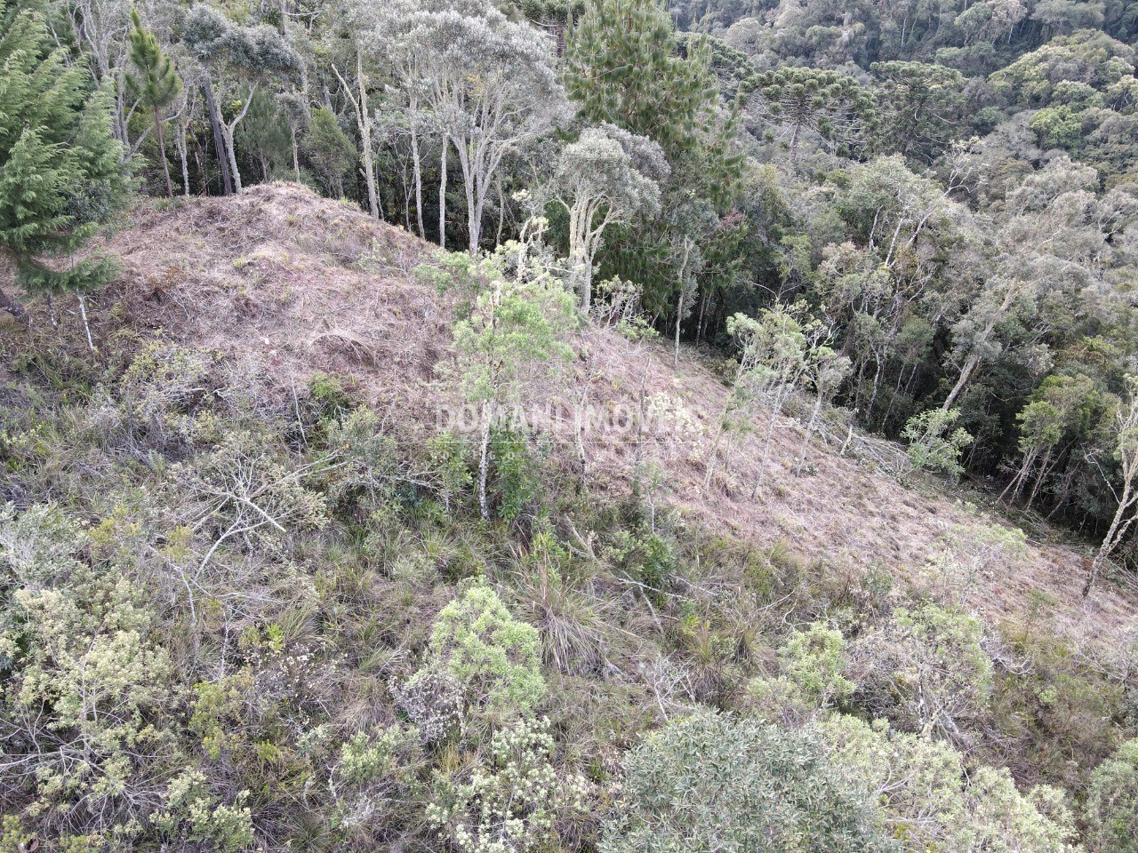 Terreno à venda, 1380m² - Foto 14