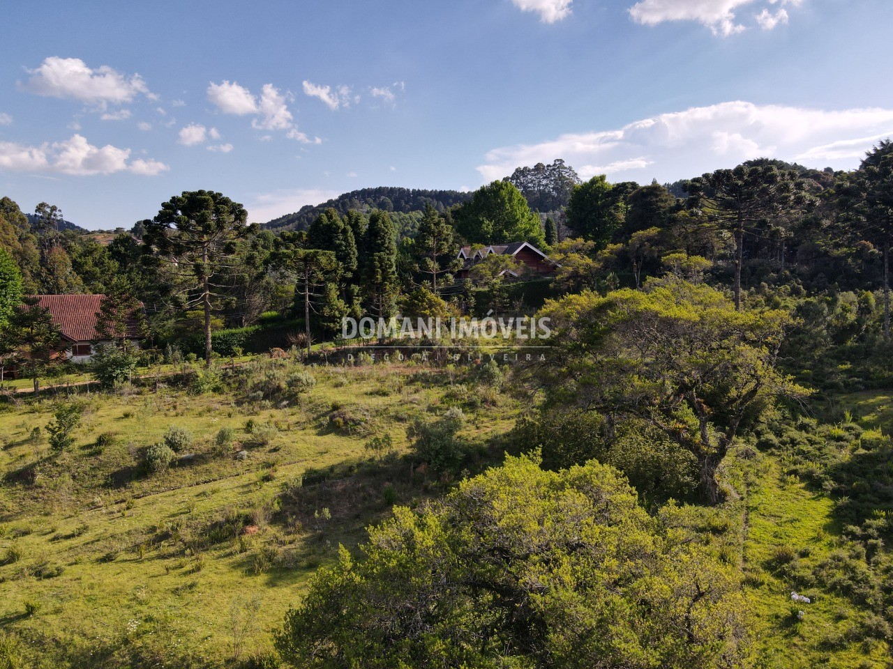 Terreno à venda - Foto 3