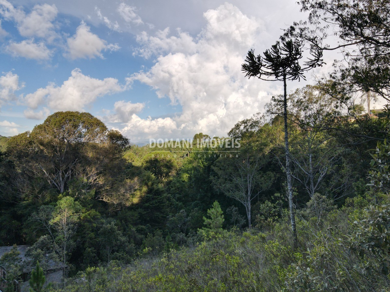 Terreno à venda, 3590m² - Foto 17