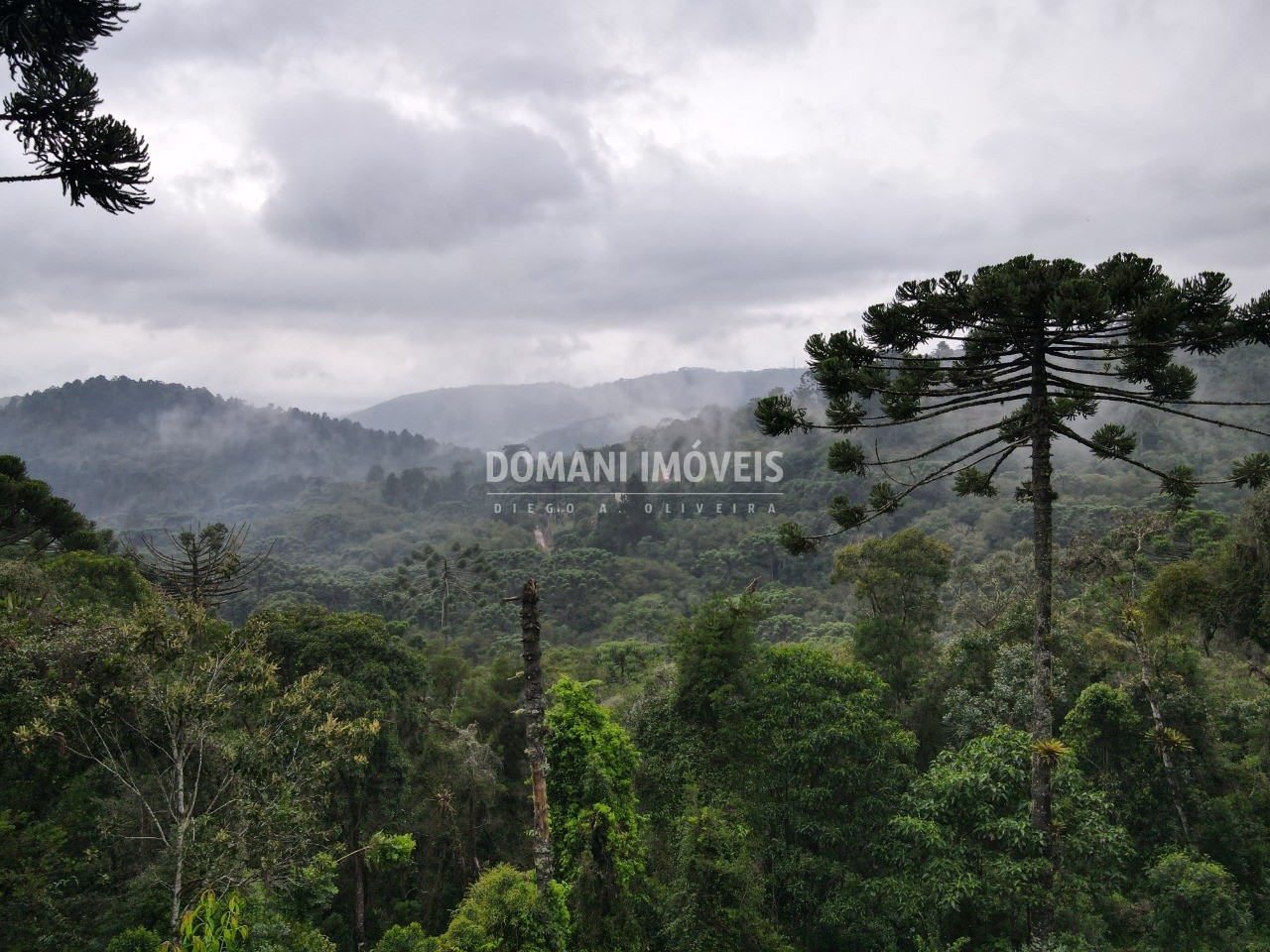 Imóvel Comercial Padrão para alugar - Foto 22