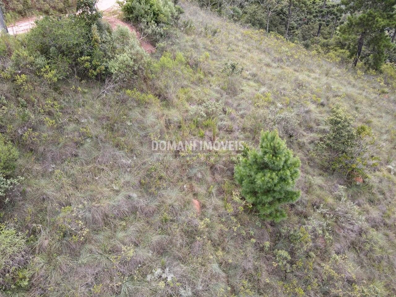 Terreno à venda, 1980m² - Foto 4