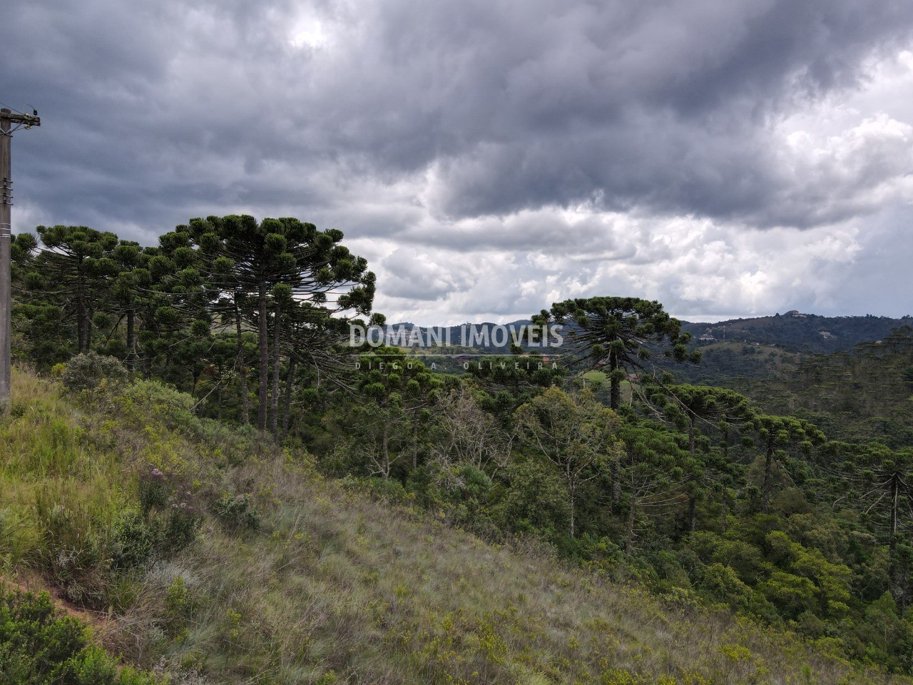 Terreno à venda, 1980m² - Foto 6